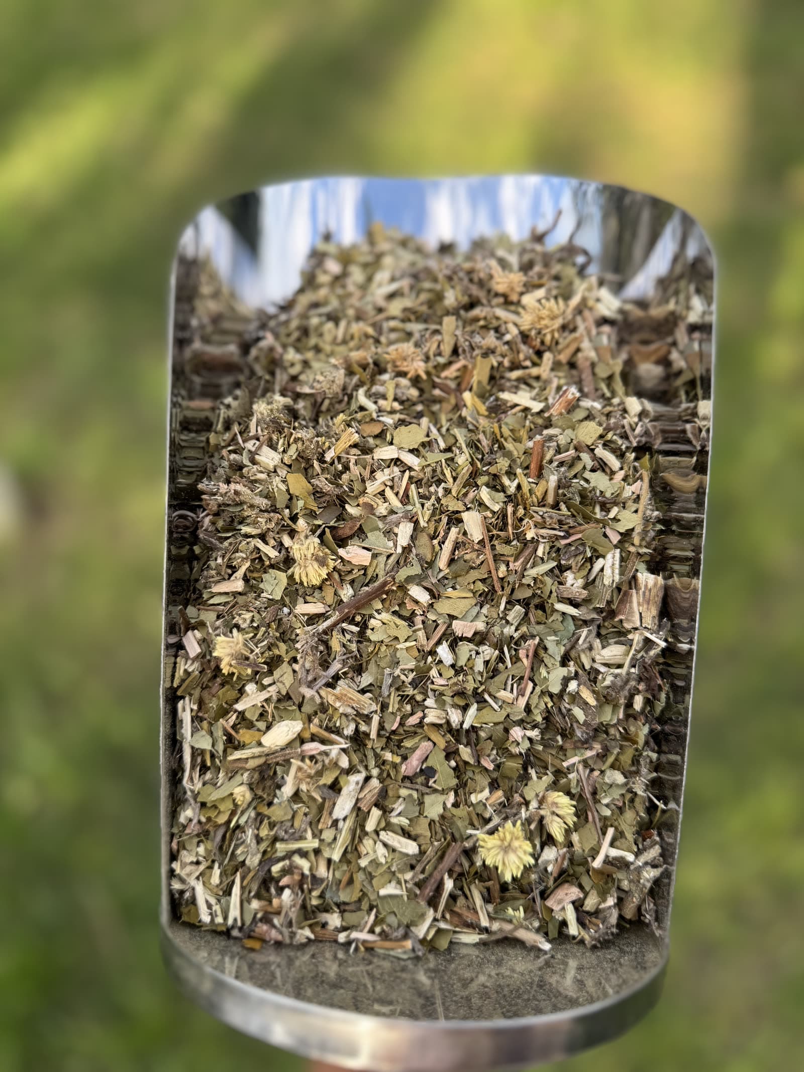 Yerba mate agroecológica de Yerba Xanaes