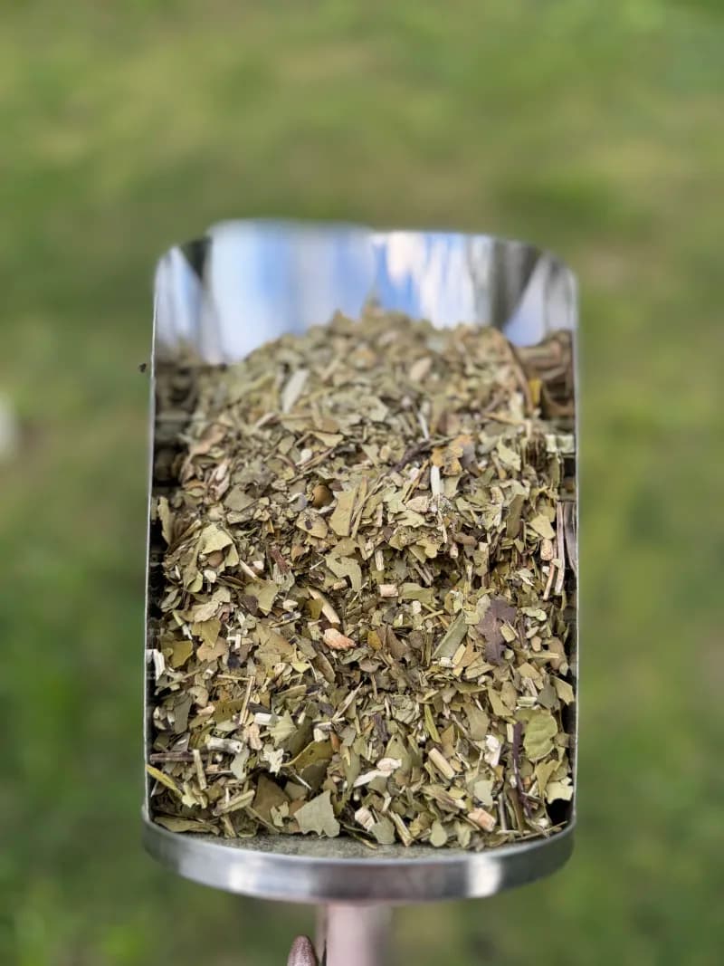 Yerba Canchada Fina