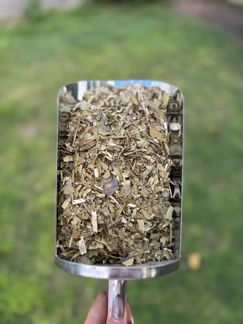 Yerba Canchada Mediana